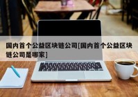 国内首个公益区块链公司[国内首个公益区块链公司是哪家]